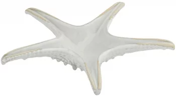 Блюдо для подачи Frutti di Mare Ø24 CM