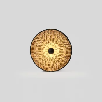Настенный/потолочный светильник Costas 40X7 CM