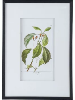 Комплект из двух постеров Flora 50X70 / 50X70 CM