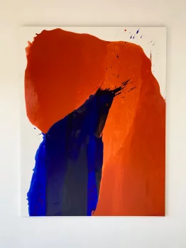Красно-синий 162X125X4 CM