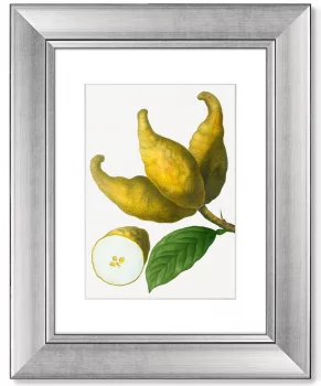 Диптих Citrus limonium 41X51 / 41X51 CM