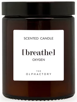 Свеча ароматическая The Olphactory Oxygen 27 часов горения