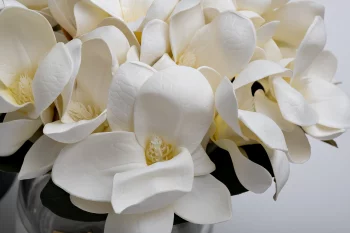 Диффузор Magnolia White Winter in Chateau 16X16X25 CM
