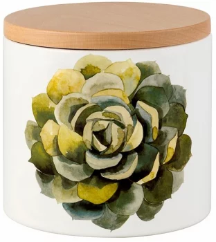 Емкость с крышкой Cactus 16X16X15 CM