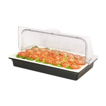 Поднос для выкладки 53*32,5*24,5 см фарфор с пласт. Roll-top крышкой + 2 емкости с хладогеном SUNNEX