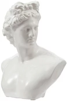 Бюст David 18X14X24 CM