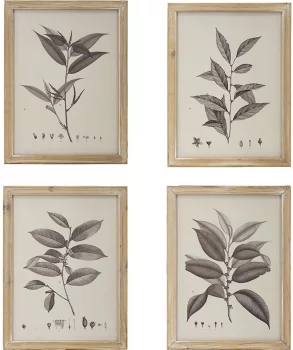 Комплект из четырёх постеров Flora 40X53 / 40X53 / 40X53 / 40X53 CM