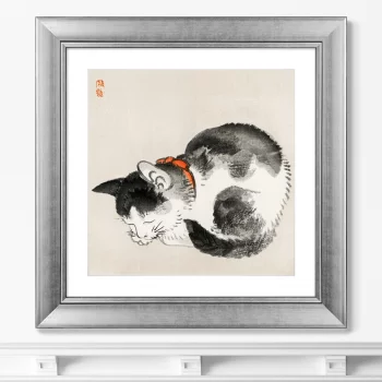 Постер Sleeping cat 61X61 CM