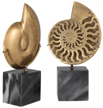 Фигурки Ammonite 17X9X29 / 17X9X29 CM