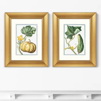 Диптих Cucumber & Melopepo 41X51 / 41X51 CM