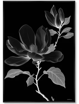 Набор из двух постеров на холсте Night bloom 75X105 / 75X105 CM
