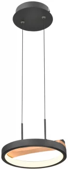 Подвесной светильник 450-023-01