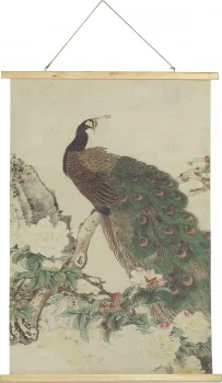 Постер Peacock 70X100 CM