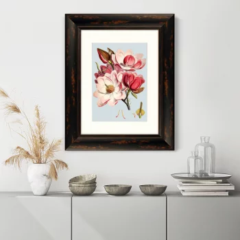 Постер Himalaya Plants Pink Flower 41X51 CM