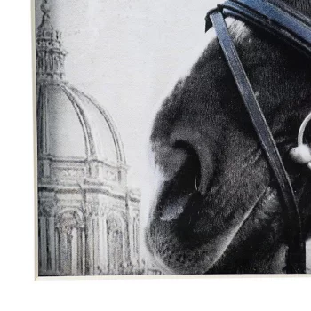 Комплект из двух постеров Horses 56X56 / 56X56 CM