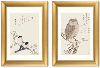 Диптих Smart owl watching 51X71 / 51X71 CM