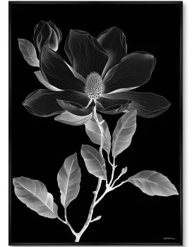 Постер на холсте Night bloom 75X105 CM