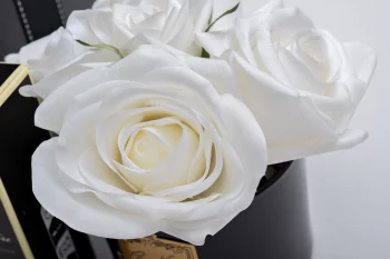 Диффузор Five Rose White 18X18X16 CM