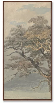 Триптих A Great Tree 52X105 / 52X105 / 52X105 CM