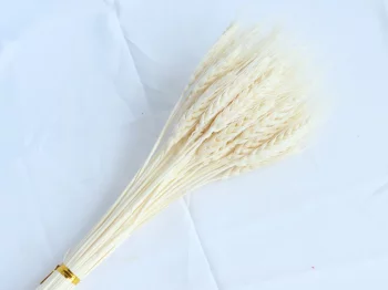 Сухоцвет из пшеницы белый 15X15X65 CM