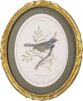 Панно настенное Birdwatcher 23X28 CM