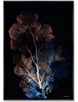 Репродукция картины на холсте  Coral Symphony in the Color of Night 75X105 CM
