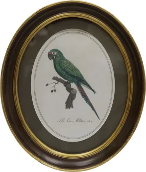 Панно настенное Parrot 25X30 CM