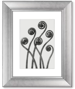 Диптих Compass Plant 41X51 / 41X51 CM