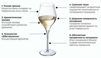 Бокал-флюте для шампанского Exaltation 350 ml