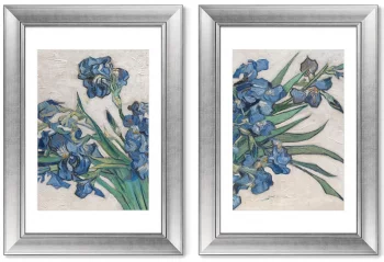 Диптих Irises 51X71 / 51X71 CM
