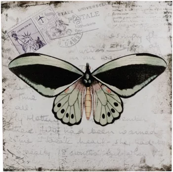 Панно настенное Butterfly 31X31 CM