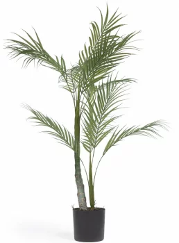 Искусственное растение Palmera 50X50X70 CM 
