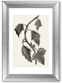 Диптих Pustulata from The Ivy 51X71 / 51X71 CM