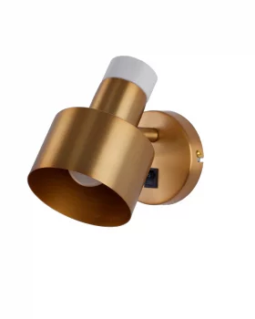 Спот Goldy