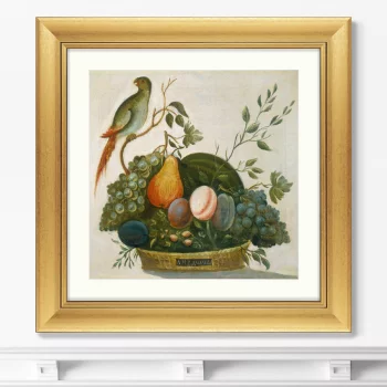 Постер Basket of Fruit with Parrot 61X61 CM