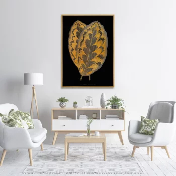 Постер на холсте Calathea Veitchiana leaf 75X105 CM