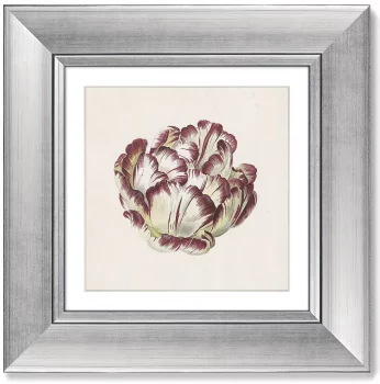 Диптих Tulp 36X36 / 36X36 CM