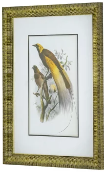 Диптих Birds of Paradise 60X80 / 60X80 CM