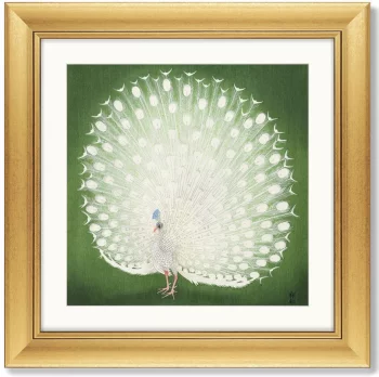Постер Peacock 61X61 CM