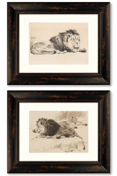 Диптих Ruhende Lowen 51X41 / 51X41 CM