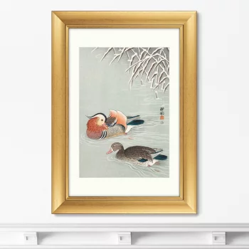 Постер Mandarin ducks 51X71 CM