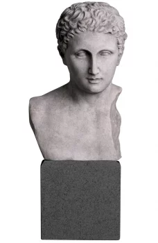 Статуя Bust Roman Imperial 19X15X49 CM