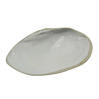 Блюдо овальное 32,5*20 см h6,5 см 100 мл Gray Shell Frutti di Mare P.L. [1]
