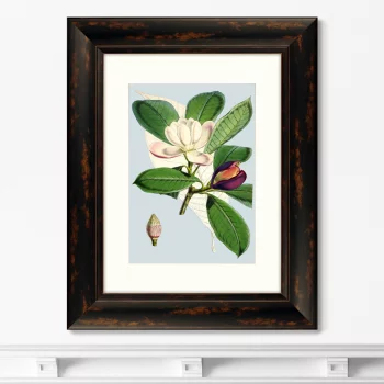 Постер Purple And White Flowers 41X51 CM