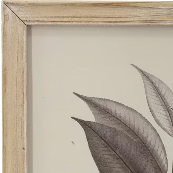 Комплект из четырёх постеров Flora 40X53 / 40X53 / 40X53 / 40X53 CM