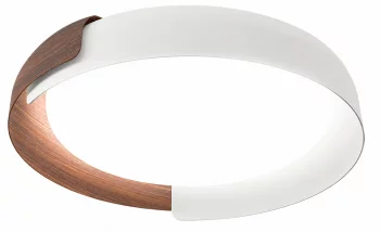 Накладной светильник Adda Wood