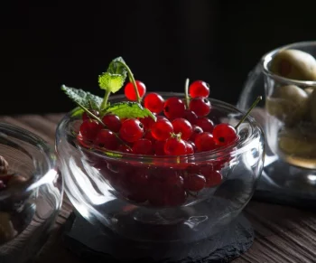 Две чаши для подачи закусок и десертов Catering 250 ml