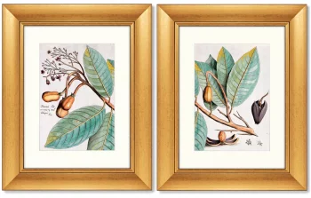 Диптих Exotic plants of the world 41X51 / 41X51 CM