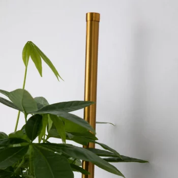 Настенный светодиодный светильник Greenery