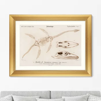 Постер Plesiosaurus 81X61 CM 